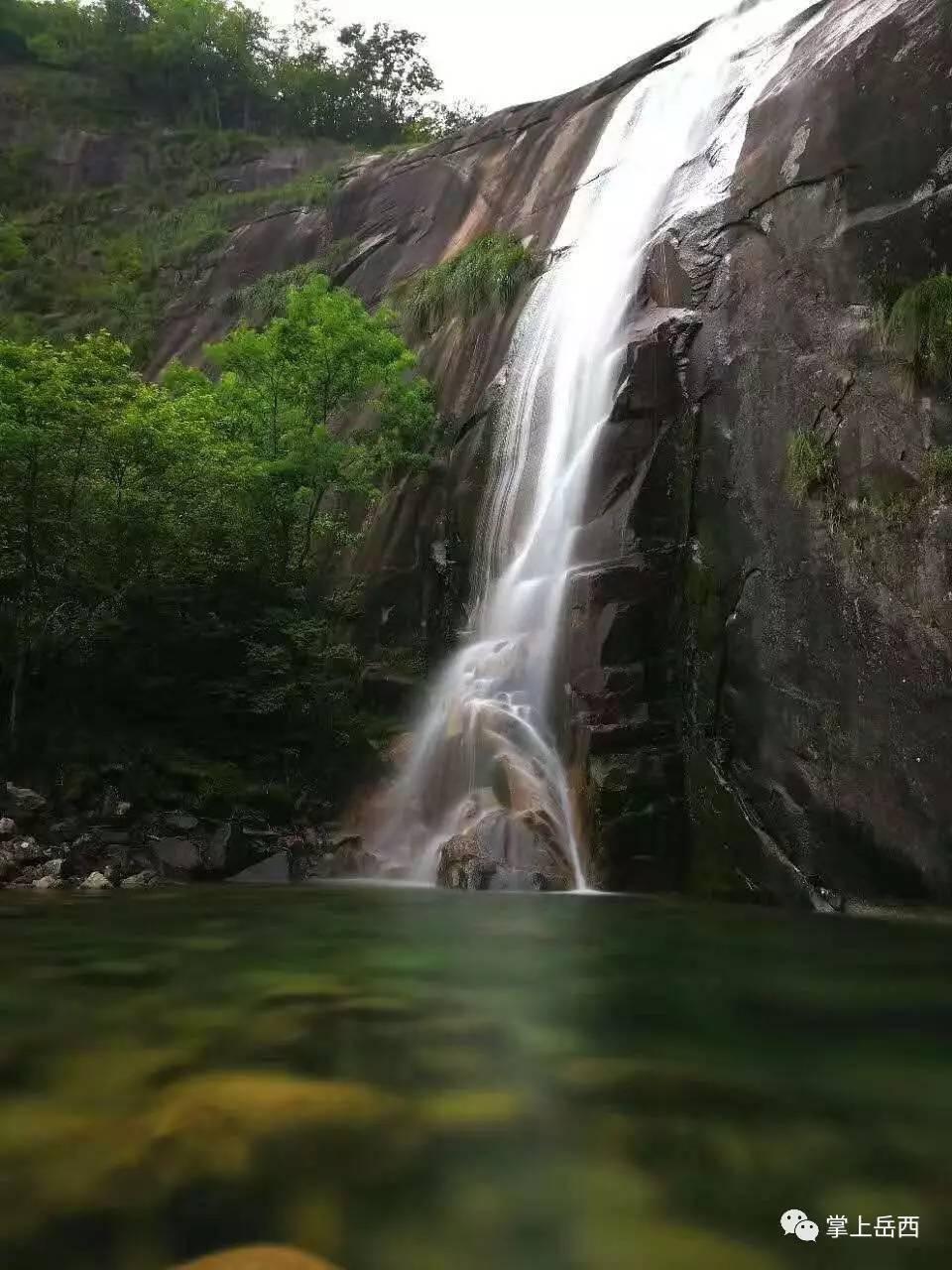 五彩鹦鹉救援